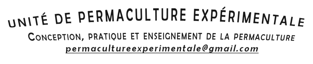Logo UPE NB alternatif